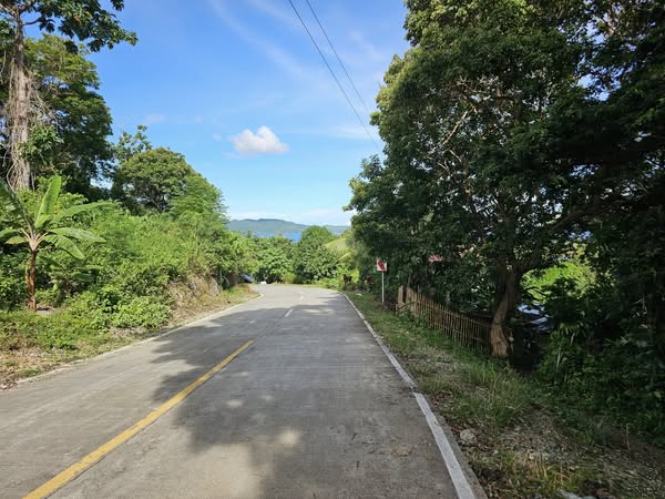 Bohol overlooking seaview lot for sale near Highway in Guindulman