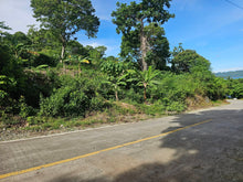 Load image into Gallery viewer, Bohol overlooking seaview lot for sale near Highway in Guindulman