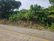 Load image into Gallery viewer, Bohol overlooking seaview lot for sale near Highway in Guindulman