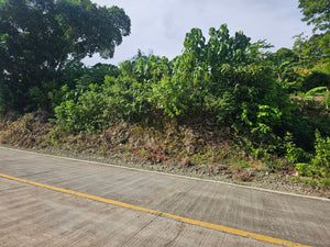Bohol overlooking seaview lot for sale near Highway in Guindulman