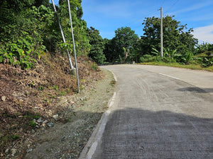 Bohol overlooking seaview lot for sale near Highway in Guindulman