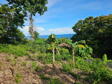 Load image into Gallery viewer, Bohol overlooking seaview lot for sale near Highway in Guindulman