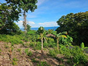 Bohol overlooking seaview lot for sale near Highway in Guindulman