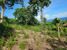 Load image into Gallery viewer, Bohol overlooking seaview lot for sale near Highway in Guindulman