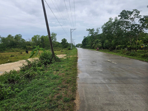 🏝️ Lots for Sale – Panglao Island, Bohol, Philippines 🏝️ 7 Prime Residential Lots Available