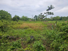 Load image into Gallery viewer, 🏝️ Lots for Sale – Panglao Island, Bohol, Philippines 🏝️ 7 Prime Residential Lots Available