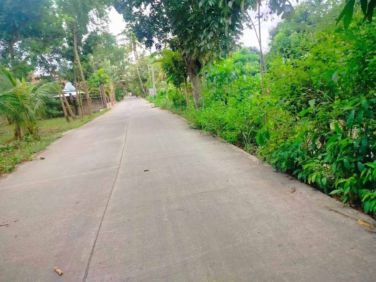 Lot for sale 2,000 sqm clean title near white sand beaches Moalboal Cebu 4,500/sqm