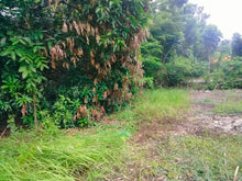 Load image into Gallery viewer, Lot for sale 2,000 sqm clean title near white sand beaches Moalboal Cebu 4,500/sqm