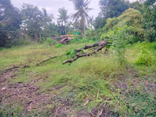 Load image into Gallery viewer, Lot for sale 2,000 sqm clean title near white sand beaches Moalboal Cebu 4,500/sqm