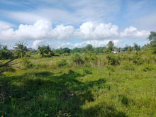 Load image into Gallery viewer, Lot for sale 16,029 sqm clean title with 60 mango trees  Ubay Bohol