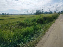 Load image into Gallery viewer, Lot for sale 16,029 sqm clean title with 60 mango trees  Ubay Bohol