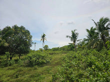 Load image into Gallery viewer, 🌴 Lot for Sale Near Panglao Island Airport – 2,960 sqm | Ideal for Residential or Resort Development