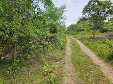 Load image into Gallery viewer, 🌴 Lot for Sale Near Panglao Island Airport – 2,960 sqm | Ideal for Residential or Resort Development