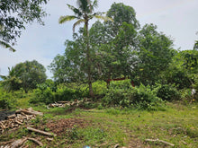 Load image into Gallery viewer, 🌴 Lot for Sale Near Panglao Island Airport – 2,960 sqm | Ideal for Residential or Resort Development