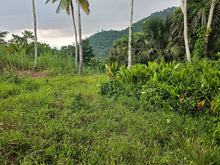 Load image into Gallery viewer, Land for sale in Sirao, Cebu City