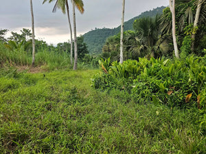 Land for sale in Sirao, Cebu City