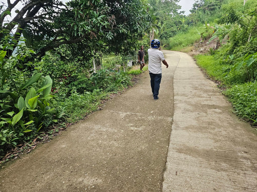 Land for sale in Sirao, Cebu City