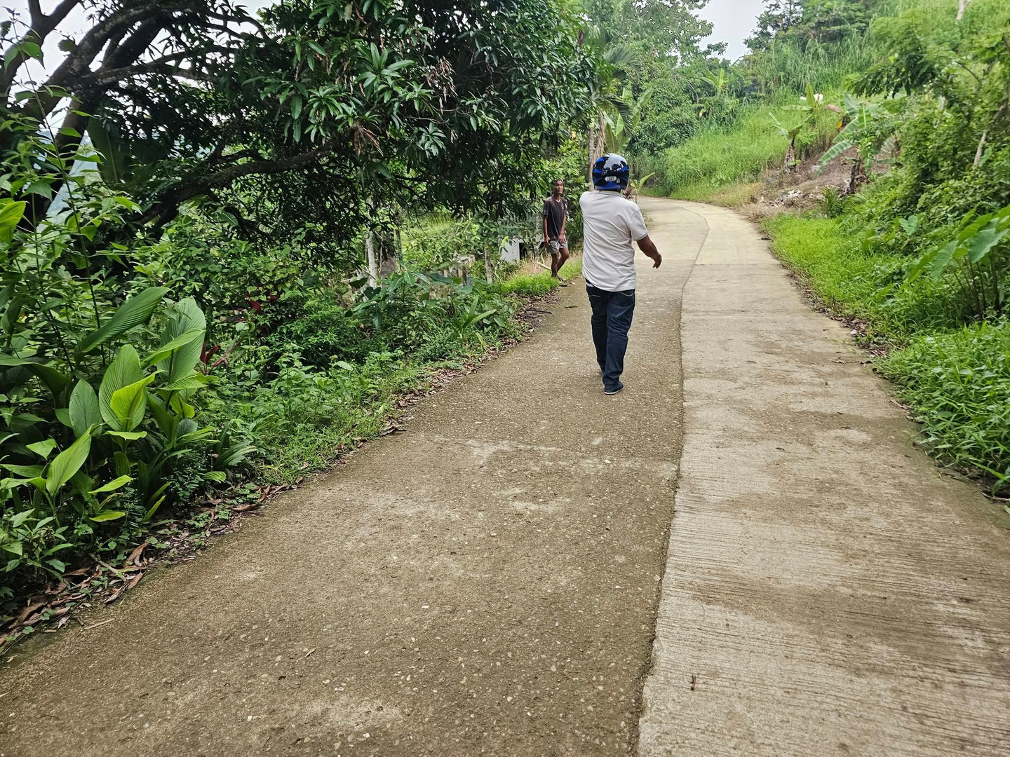 Land for sale in Sirao, Cebu City