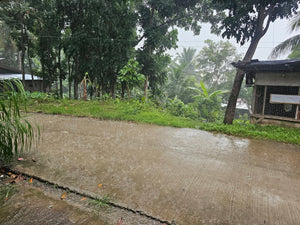 Land for sale in Sirao, Cebu City