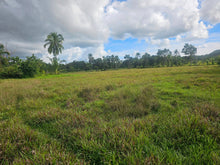 Load image into Gallery viewer, Bohol lot for sale in Poblacion, Sagbayan, Bohol