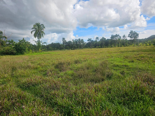 Bohol lot for sale in Poblacion, Sagbayan, Bohol