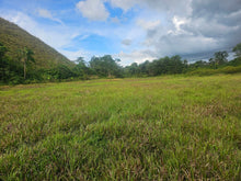 Load image into Gallery viewer, Bohol lot for sale in Poblacion, Sagbayan, Bohol