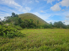 Load image into Gallery viewer, Bohol lot for sale in Poblacion, Sagbayan, Bohol