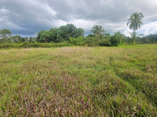 Load image into Gallery viewer, Bohol lot for sale in Poblacion, Sagbayan, Bohol