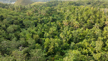 Load image into Gallery viewer, 88,000 sqm near town proper with abundant trees in Sagbayan Bohol
