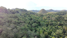 Load image into Gallery viewer, 88,000 sqm near town proper with abundant trees in Sagbayan Bohol
