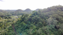 Load image into Gallery viewer, 88,000 sqm near town proper with abundant trees in Sagbayan Bohol
