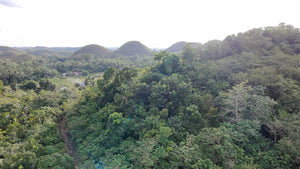 88,000 sqm near town proper with abundant trees in Sagbayan Bohol