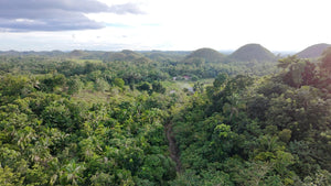 88,000 sqm near town proper with abundant trees in Sagbayan Bohol