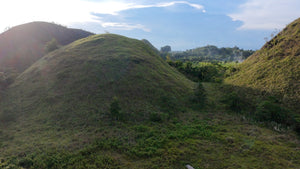 88,000 sqm near town proper with abundant trees in Sagbayan Bohol