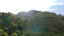 Load image into Gallery viewer, 88,000 sqm near town proper with abundant trees in Sagbayan Bohol