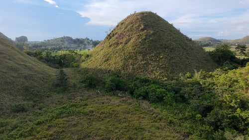 88,000 sqm near town proper with abundant trees in Sagbayan Bohol