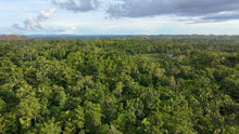 Load image into Gallery viewer, 88,000 sqm near town proper with abundant trees in Sagbayan Bohol