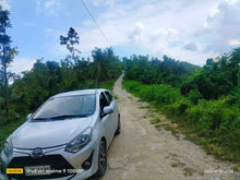 Load image into Gallery viewer, Lot for sale 25,000 sqm rolling terrain San Fernando Cebu 260/sqm negotiable