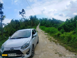 Lot for sale 25,000 sqm rolling terrain San Fernando Cebu 260/sqm negotiable