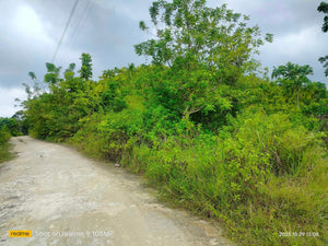 Lot for sale 25,000 sqm rolling terrain San Fernando Cebu 260/sqm negotiable