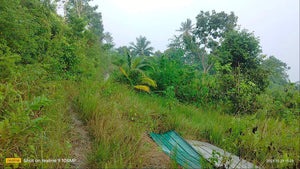 Lot for sale 25,000 sqm rolling terrain San Fernando Cebu 260/sqm negotiable