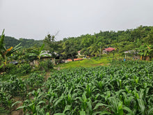 Load image into Gallery viewer, 🌿 Lot for Sale – Sirao, Cebu City, Philippines