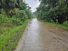 Load image into Gallery viewer, 🌿 Lot for Sale – Sirao, Cebu City, Philippines