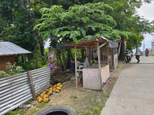 Load image into Gallery viewer, 1,000 sqm seaview lot for sale at Talisay City Cebu Philippines