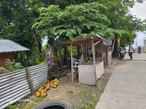 1,000 sqm seaview lot for sale at Talisay City Cebu Philippines