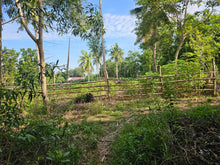 Load image into Gallery viewer, FOR SALE: 7,168 SQM LOT IN TALIBON, BOHOL – BESIDE FISH POND 🌾