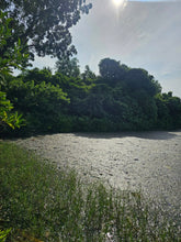 Load image into Gallery viewer, FOR SALE: 7,168 SQM LOT IN TALIBON, BOHOL – BESIDE FISH POND 🌾