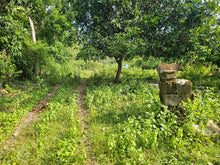 Load image into Gallery viewer, FOR SALE: 7,168 SQM LOT IN TALIBON, BOHOL – BESIDE FISH POND 🌾