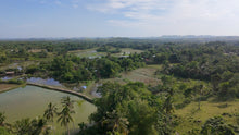 Load image into Gallery viewer, FOR SALE: 7,168 SQM LOT IN TALIBON, BOHOL – BESIDE FISH POND 🌾