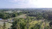 Load image into Gallery viewer, FOR SALE: 7,168 SQM LOT IN TALIBON, BOHOL – BESIDE FISH POND 🌾